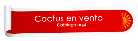 Venta de Cactus