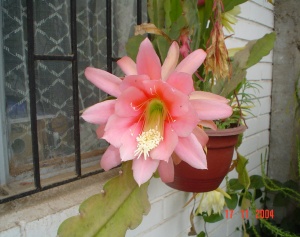 DSC01751.JPG