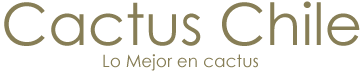 Cactus Chile - lo mejor en cactus